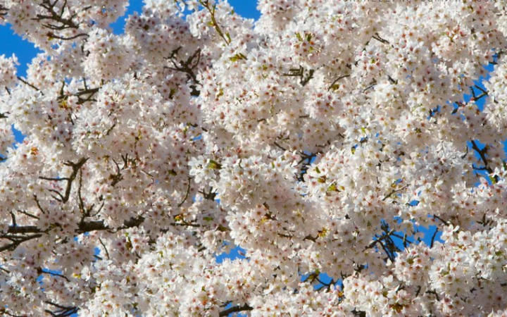 4月倒霉，5月走运，6月发财，3大生肖越到年尾运气越好！