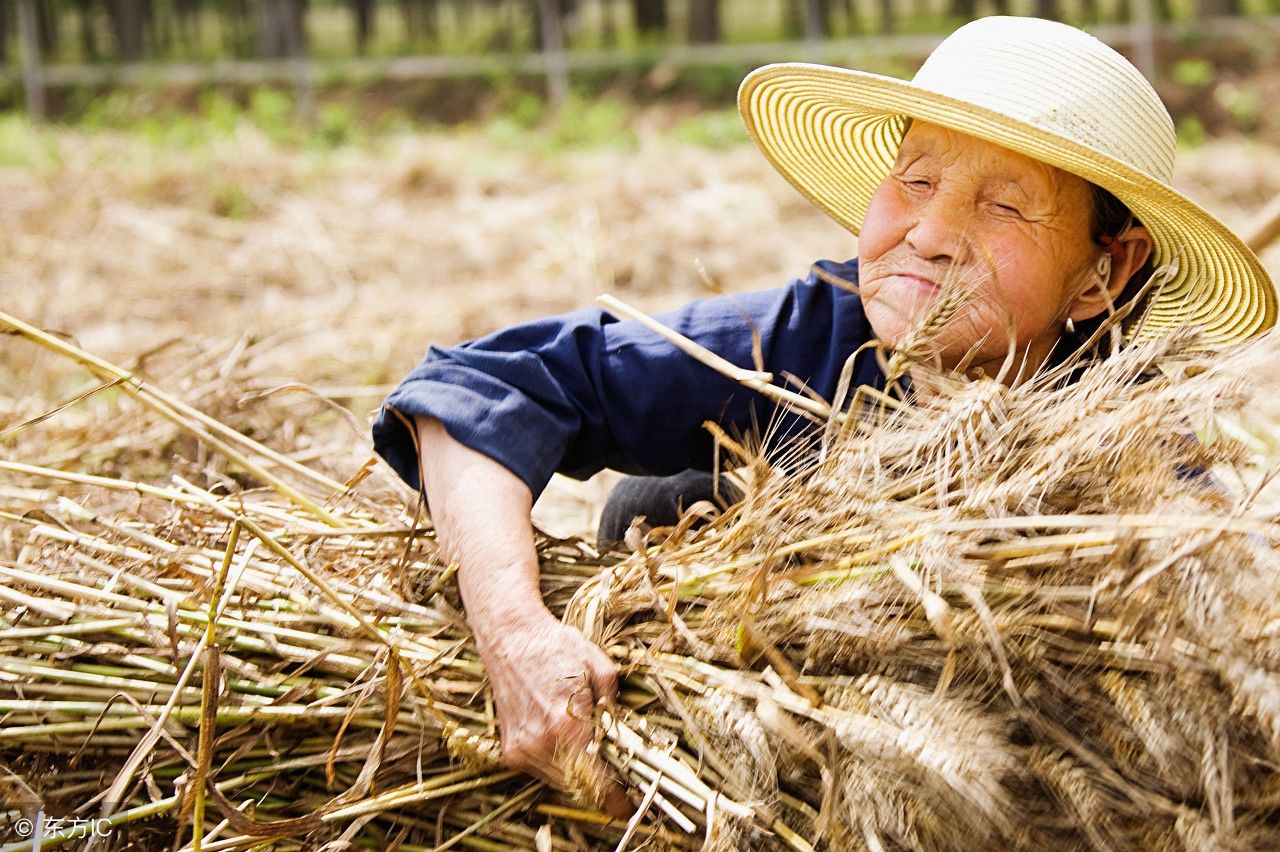 我认为设立中国农民丰收节有意义