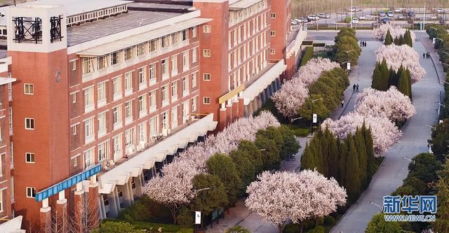 美炸！航拍西安繁花似锦 与春天浪漫邂逅