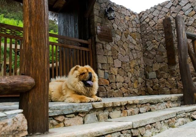 莫干山原汁原味乡村风格特色民宿听名字就很有