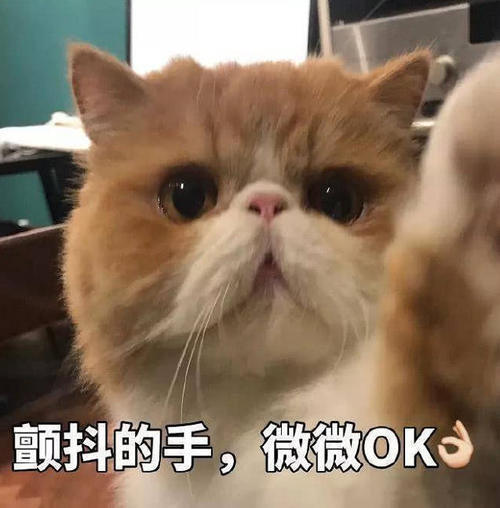 超萌表情天涯:生气了,开始哄吧刀凌云明月表情猫咪包图片