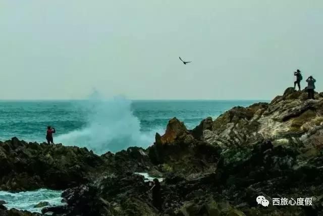 在海边睡去 在岛上醒来 西海岸有哪些小岛你不容错过