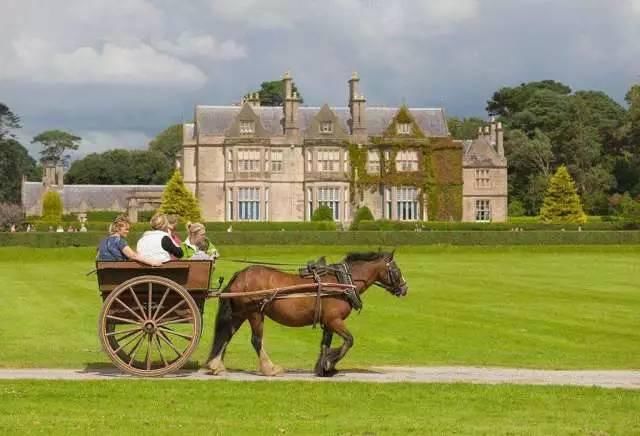 爱尔兰成立加密货币特别工作组