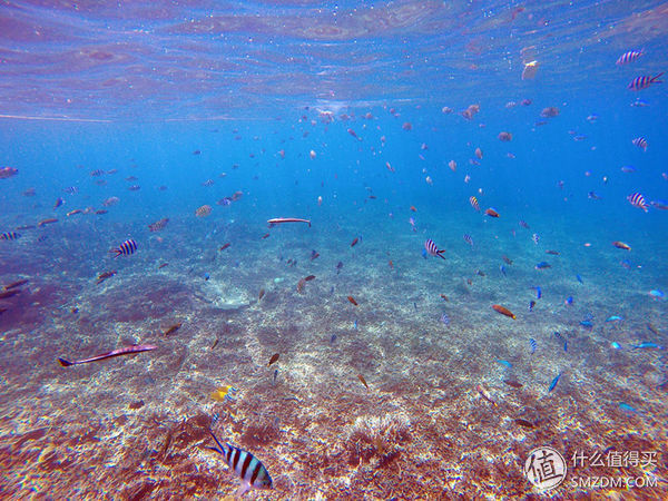 头脑一热，去马来西亚热浪岛了