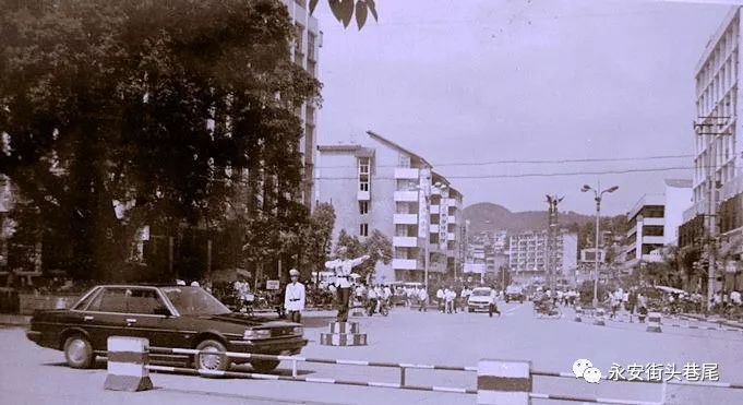 永安大榕树的往事:蟒蛇与传单 老宅被拆时发现