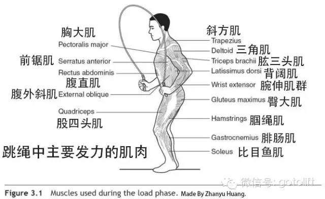 一根绳子练全身肌肉，长期坚持练身材不会差!