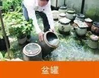 「北京疾控提醒您」北京蚊子图鉴，拥有这套防蚊指南让你和蚊子说