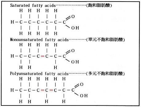 吃油要讲究脂肪酸平衡！如何做到脂肪酸平衡？