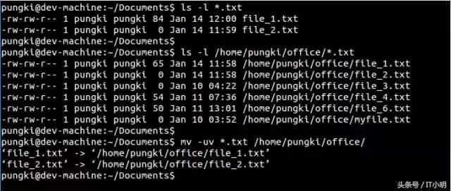 Linux 移动或重命名文件\/目录mv 的10个实用例