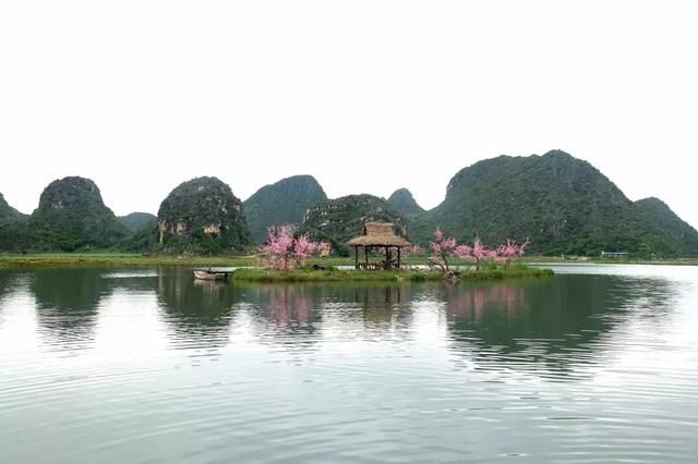 三月百色-云南自驾游,这是一条最早的春天的自驾线路!美不胜收