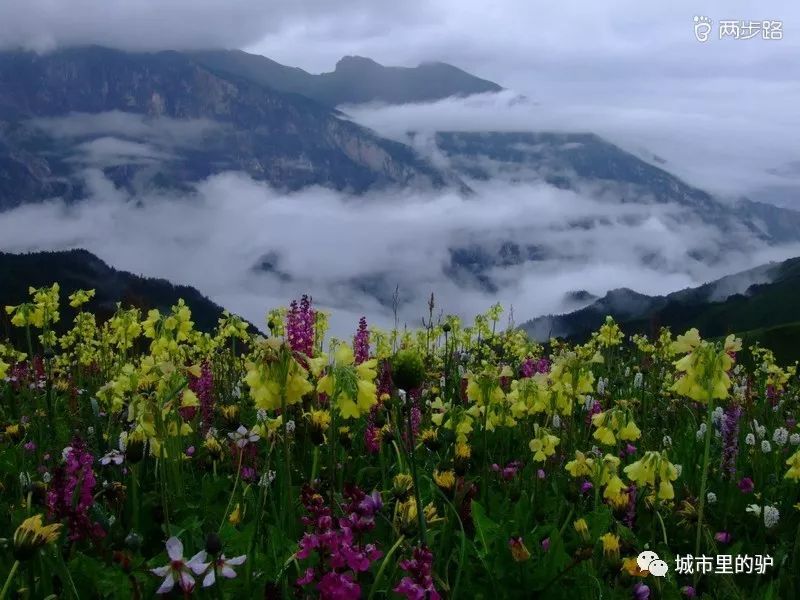 中国十大非著名山峰，你走过几座？