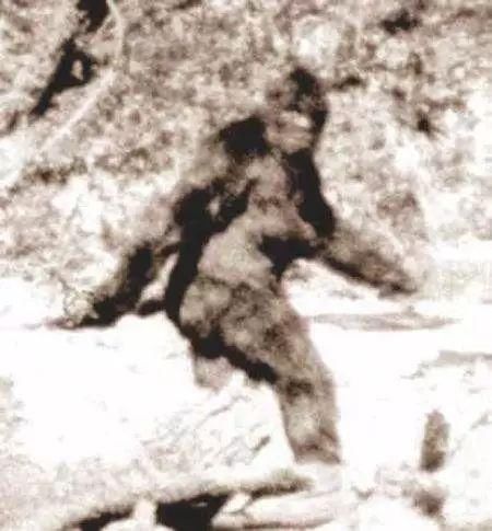 新疆有多神秘?新疆的神秘之处远比你想象的劲爆!