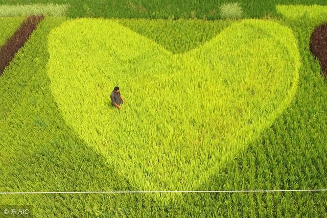 国家发力休闲观光农业,这十二个技巧助你轻松