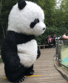 这样的同学聚会,没孩子还真不敢去啊!