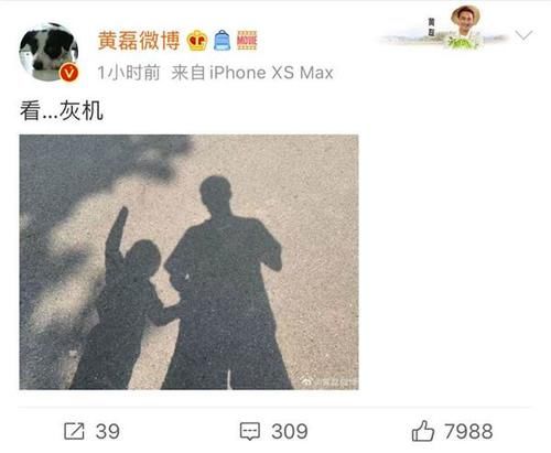 黄磊晒小儿子影子照，父子合影温馨甜蜜，弟弟手指天空萌翻网友