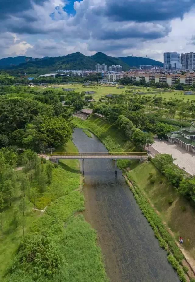 深圳，中国城市规划模范的炼就与失落