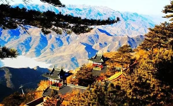 2019年共多少起地震