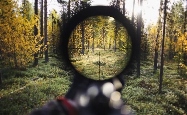 不下载的和平精英