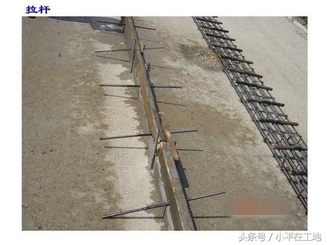 t0177a1cdd36273507c.jpg