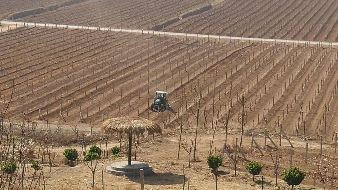 尧京，不仅仅是酒庄，还有春日的乡愁