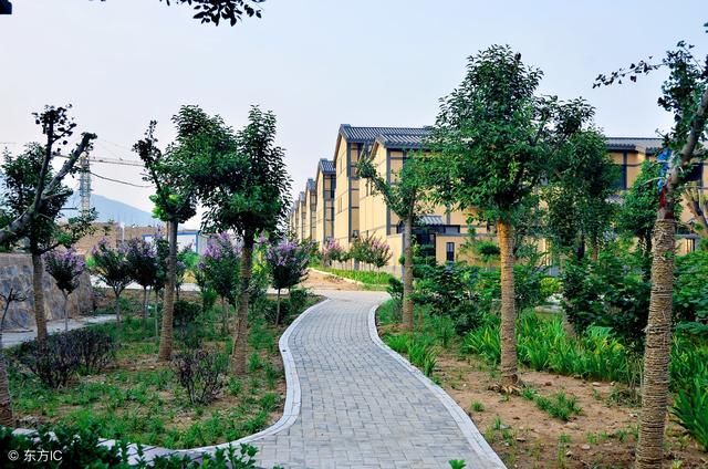 专家提出搞农村房地产市场，这对农民是大好事，但4点疑问难解决