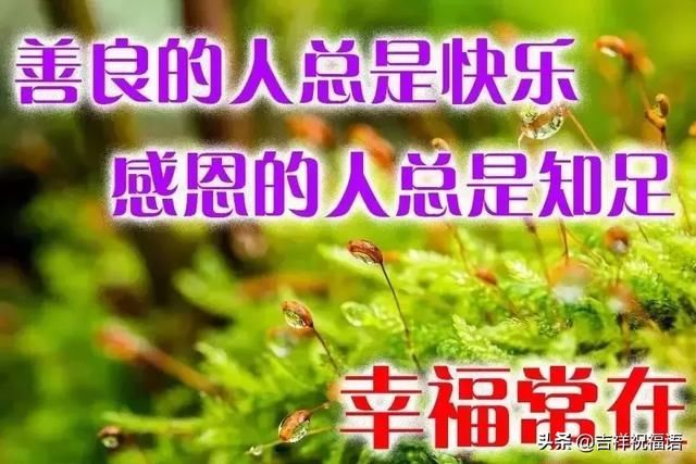 微信早上好祝福语a表情表情,最美早安动画应用问候可爱短信添加的美图包图片