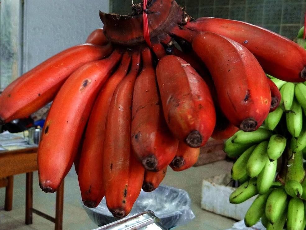农村这种红色香蕉,被称为快乐水果,还能通肠胃