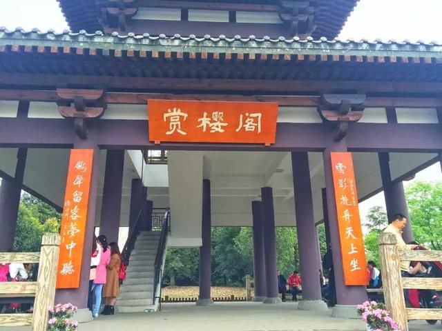 青白江凤凰湖的樱花终于开了，门票免费，再也不用去日本看樱花啦