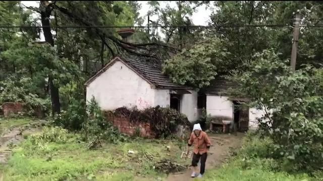 明天有暴雨！多图震撼直击：阜阳昨天的10级大风，156毫米降水后