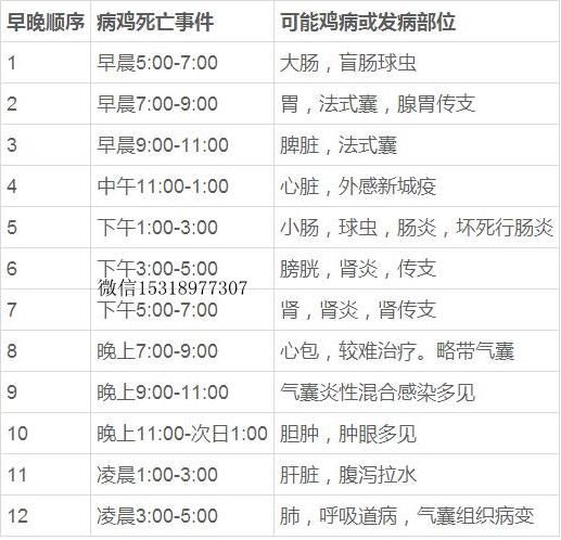 你养鸡为什么不挣钱，这几大坑你跳进去了没？