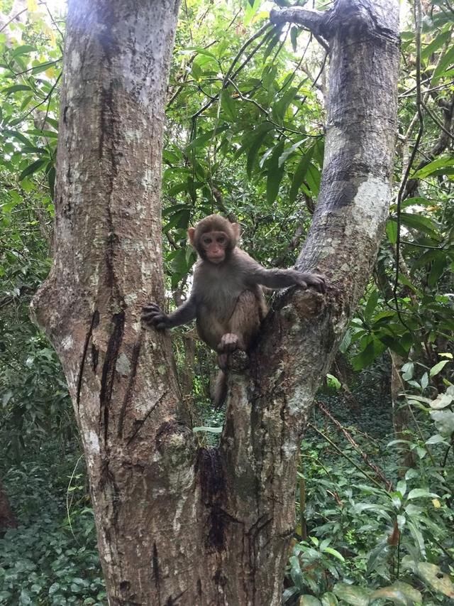 一家人甜蜜的三亚亲子游
