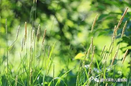 病理技术 | 病理科应用液基粪便寄生虫检测技术