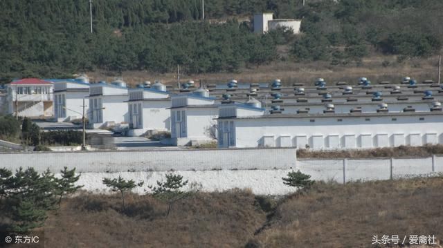 养鸡创业必读:注册养殖公司流程及费用