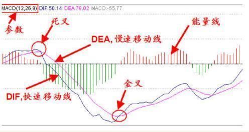 老股民曝光MACD选股技巧，超简单实用