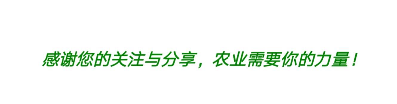 今年土地确权和集体产权改革都要做哪些事？