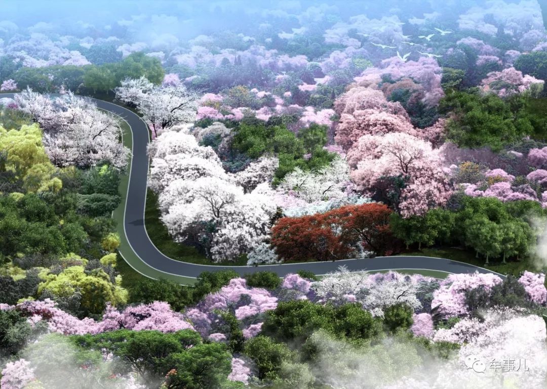 牟事儿:认养一棵树,寄语一份情-河南省中牟森林