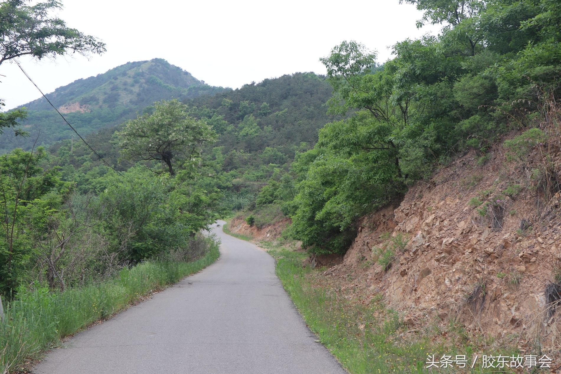 烟台栖霞这个村地处深山，鲜有外人到访，很像世外桃源