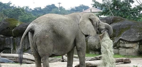 千万别做保育员