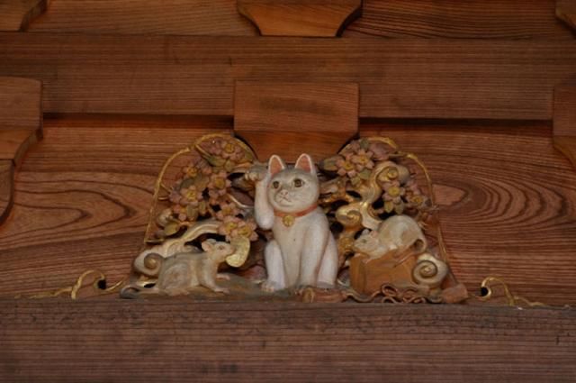 全日本最喜气的寺庙！这里有无数的招财猫亲自坐镇