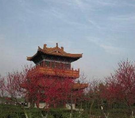 上国是什么 t0179f75c83753dcddb.jpg