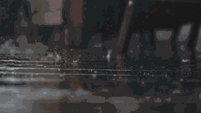 你的剩余假期被雨水承包了!还有一件扎心的事……