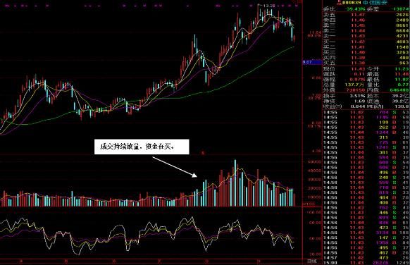 专家为什么都劝说散户不要涉足中国股市？