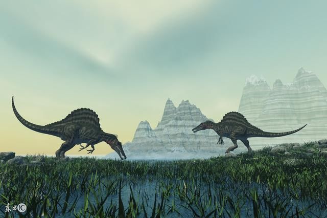 世界上最强的人,也就是最孤独的人