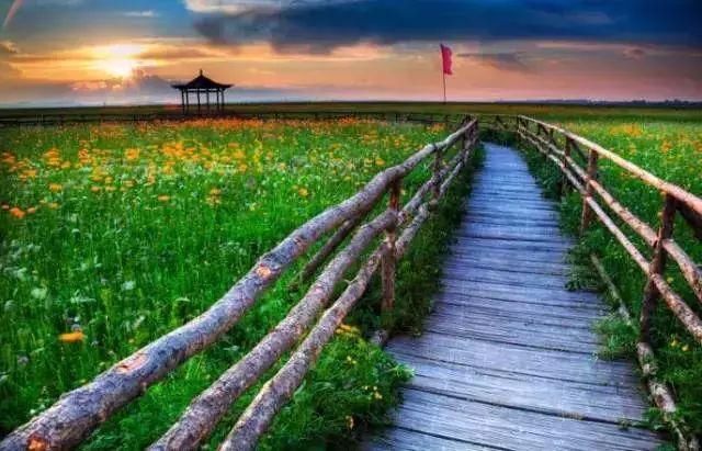 张家口最美的季节才刚刚开始，假期带家人来一场美好的自驾游吧！