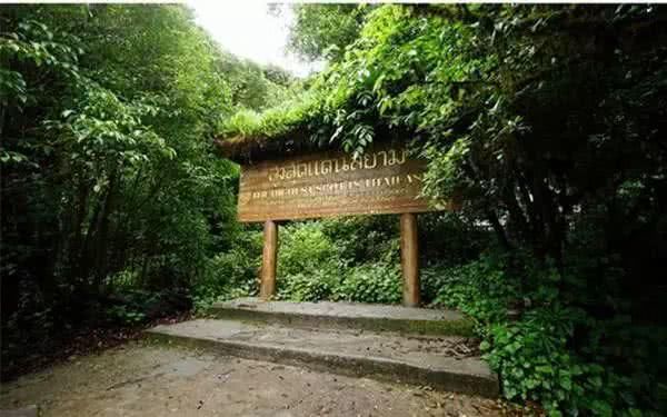 泰国最美国家公园：因他农山