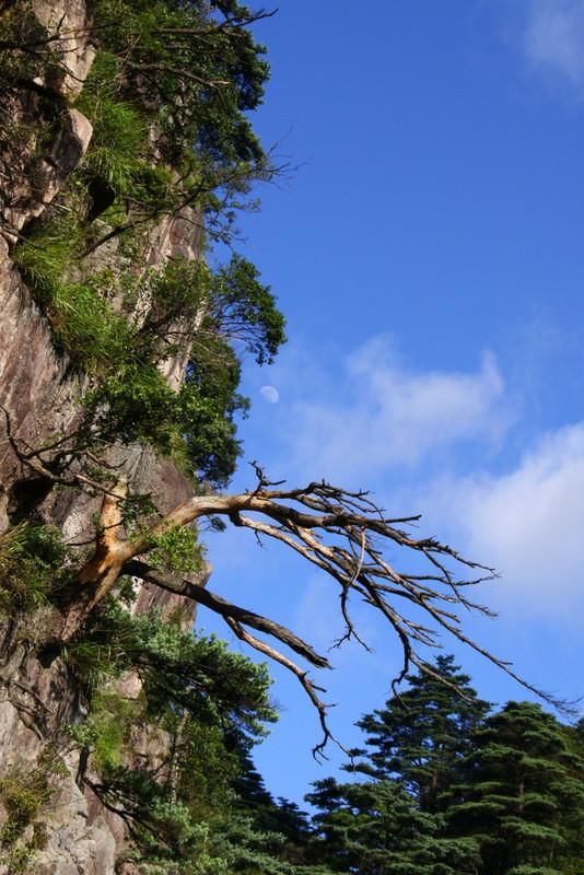 莽山国家森林公园风光