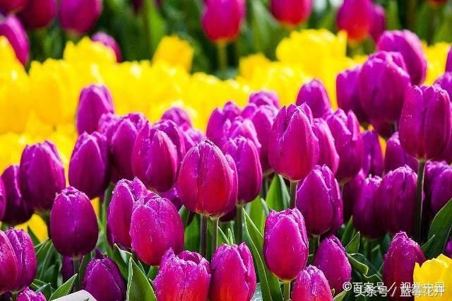 算命的说:熬过大难,3生肖,今年正财旺,偏财多,“钱”程似锦