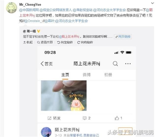 剧情反转：“抠故宫御花园石子”女游客微博更名并发道歉澄清声明