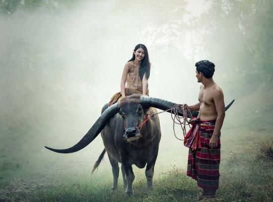 中国游客到老挝旅游，被老挝百姓的干活场景震住了