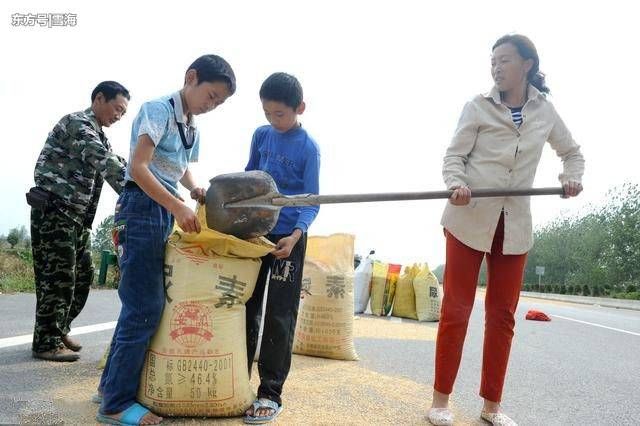 婆婆心里压根就没有老公和我，一年后她哭着来我家，我笑了起来